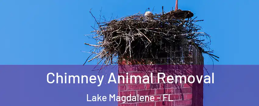 Chimney Animal Removal Lake Magdalene - FL