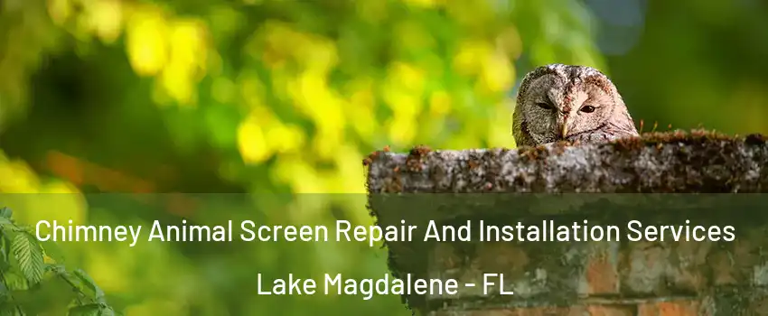  Chimney Animal Screen Repair And Installation Services Lake Magdalene - FL