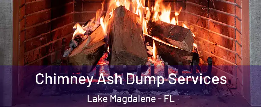  Chimney Ash Dump Services Lake Magdalene - FL