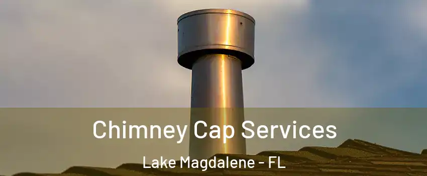  Chimney Cap Services Lake Magdalene - FL