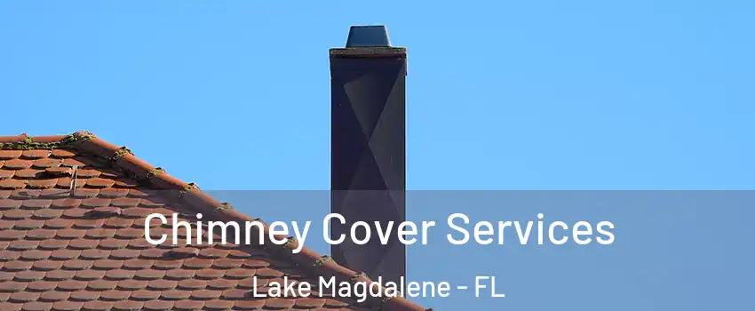  Chimney Cover Services Lake Magdalene - FL
