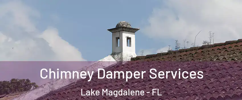  Chimney Damper Services Lake Magdalene - FL