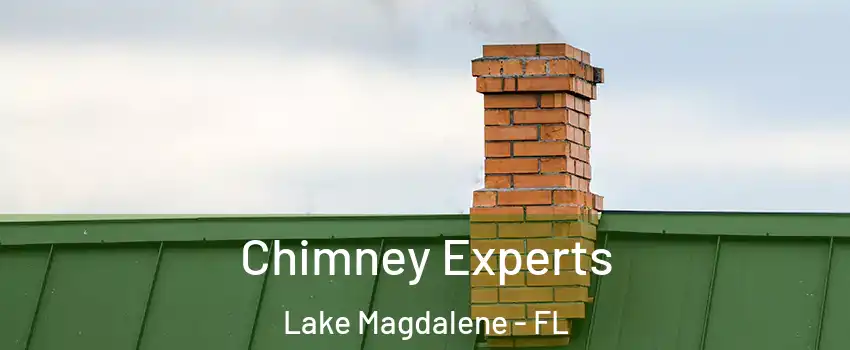 Chimney Experts Lake Magdalene - FL