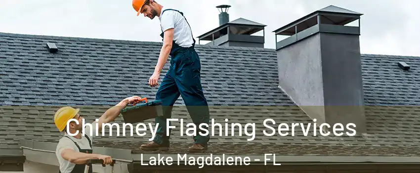 Chimney Flashing Services Lake Magdalene - FL