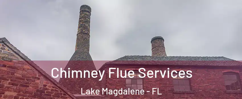 Chimney Flue Services Lake Magdalene - FL