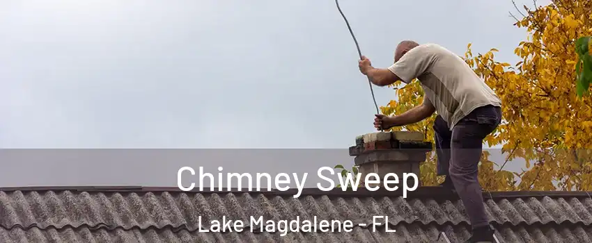  Chimney Sweep Lake Magdalene - FL