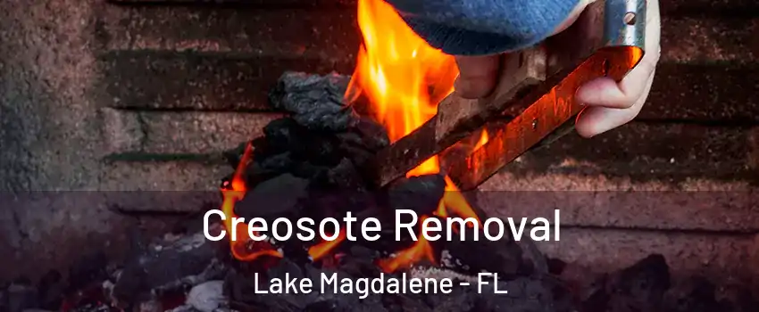  Creosote Removal Lake Magdalene - FL