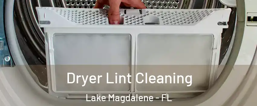  Dryer Lint Cleaning Lake Magdalene - FL