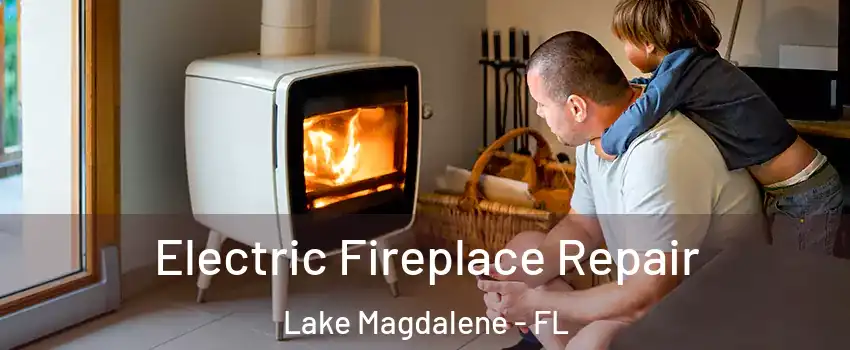  Electric Fireplace Repair Lake Magdalene - FL