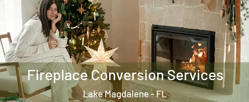  Fireplace Conversion Services Lake Magdalene - FL