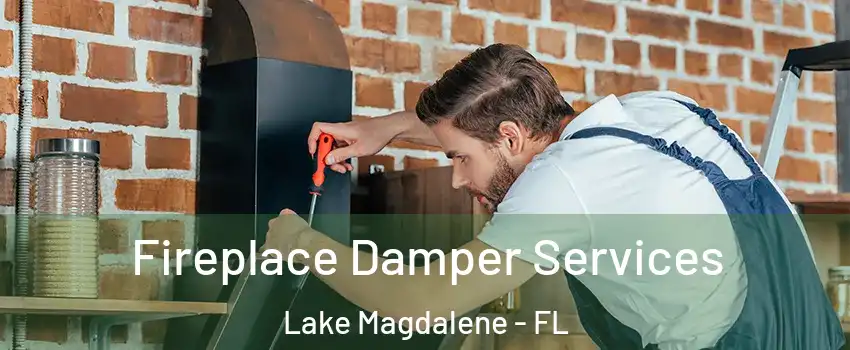  Fireplace Damper Services Lake Magdalene - FL