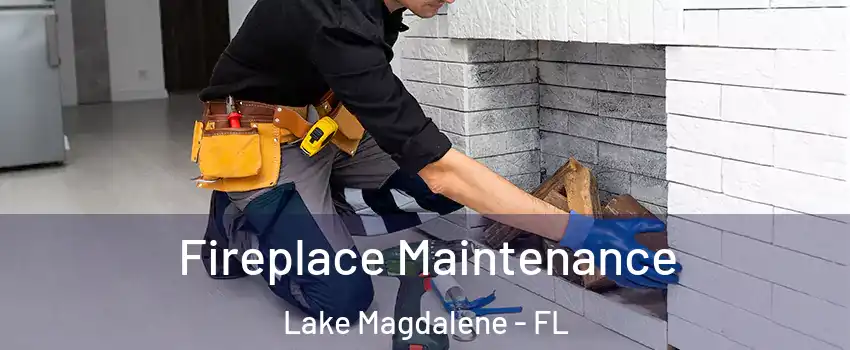  Fireplace Maintenance Lake Magdalene - FL