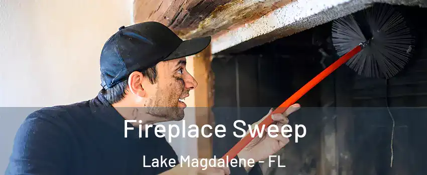  Fireplace Sweep Lake Magdalene - FL