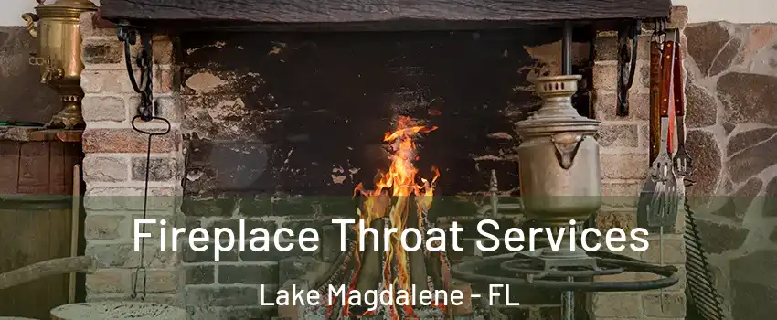  Fireplace Throat Services Lake Magdalene - FL