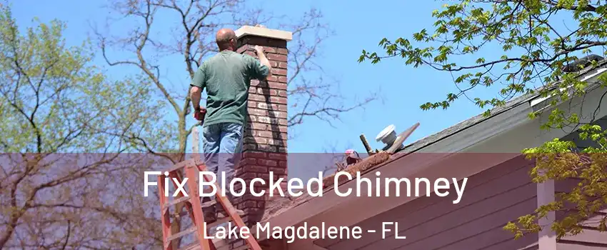  Fix Blocked Chimney Lake Magdalene - FL