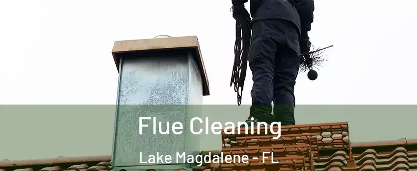  Flue Cleaning Lake Magdalene - FL