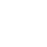 Professional Chimney Flue Installation in Lake Magdalene, Florida