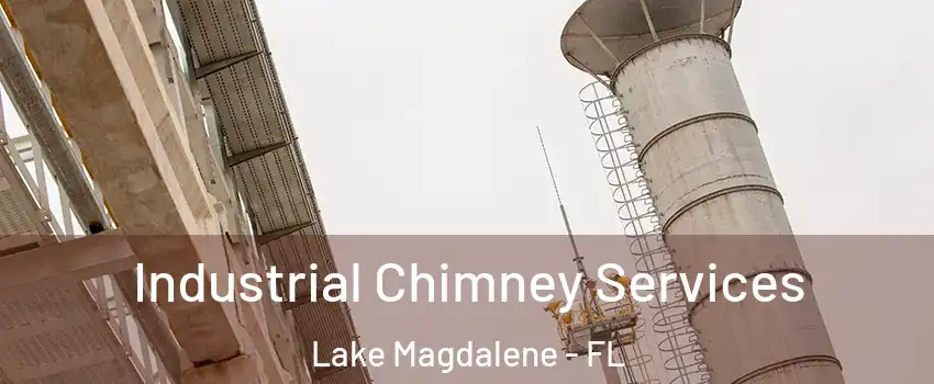 Industrial Chimney Services Lake Magdalene - FL