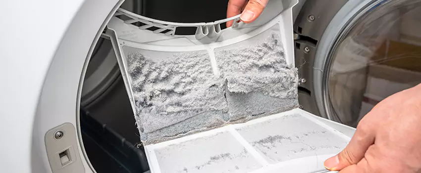Best Dryer Lint Removal Company in Lake Magdalene, Florida