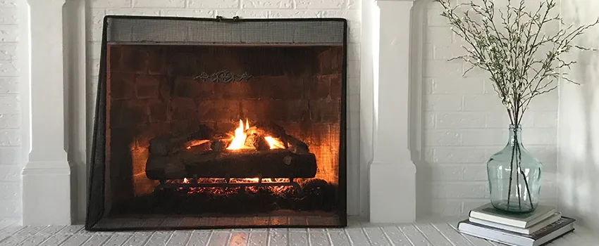 Cost-Effective Fireplace Mantel Inspection And Maintenance in Lake Magdalene, FL