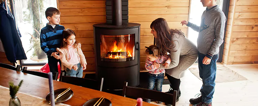 Jøtul Gas Fireplace Inspection Service in Lake Magdalene, Florida