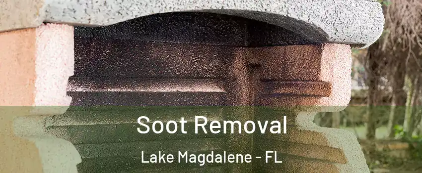  Soot Removal Lake Magdalene - FL