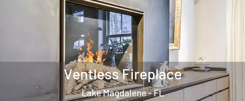  Ventless Fireplace Lake Magdalene - FL