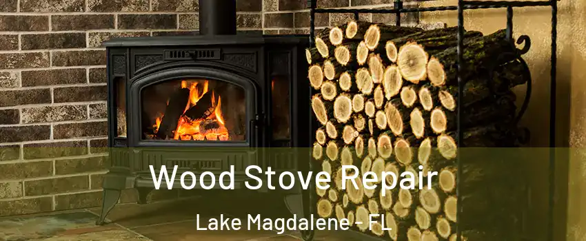  Wood Stove Repair Lake Magdalene - FL
